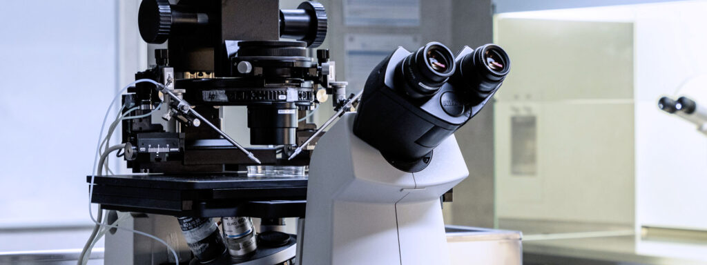 inseminazione intrauterina spiegata dal Prof. Mignini Renzini