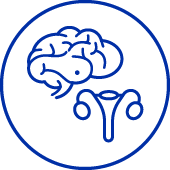 Prof. Mignini Renzini, endocrinologia ginecologica