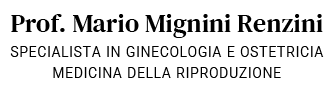 Logo Mario Mignini Renzini