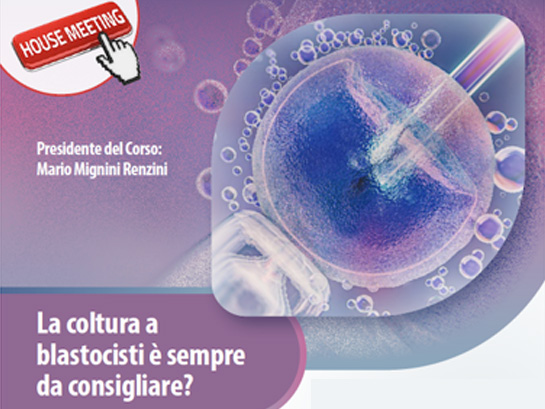 Coltura a blastocisti